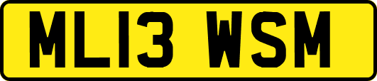 ML13WSM