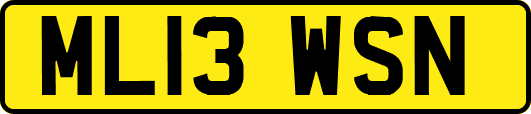 ML13WSN