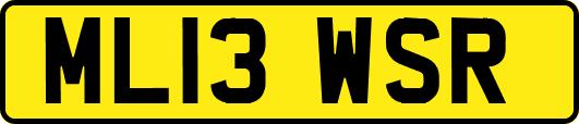 ML13WSR