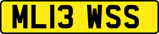 ML13WSS