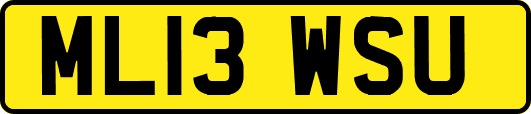 ML13WSU