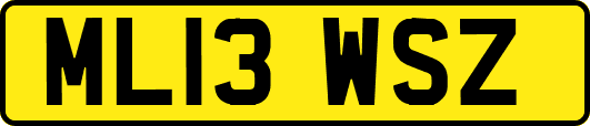 ML13WSZ