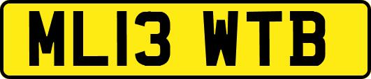 ML13WTB