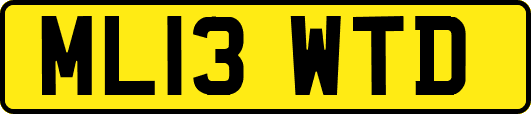 ML13WTD