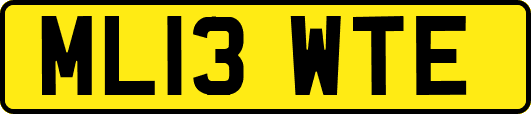 ML13WTE