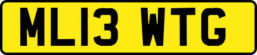 ML13WTG