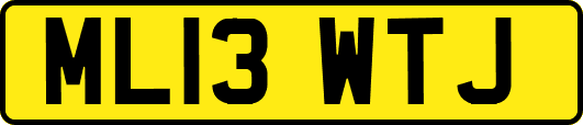 ML13WTJ