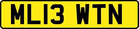 ML13WTN
