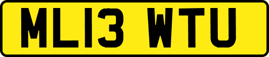 ML13WTU