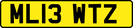 ML13WTZ