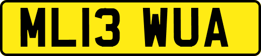 ML13WUA
