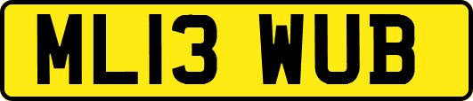 ML13WUB