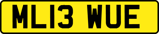 ML13WUE