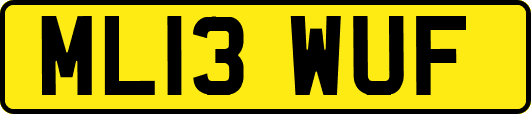ML13WUF