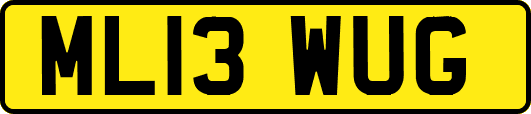 ML13WUG