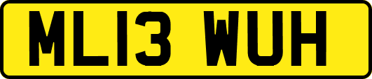 ML13WUH