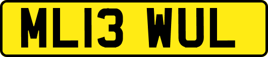 ML13WUL