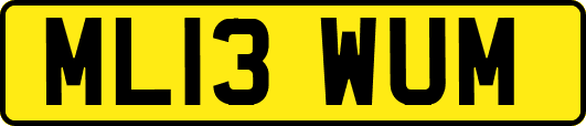 ML13WUM