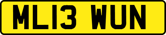 ML13WUN
