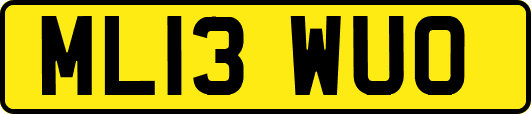 ML13WUO