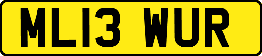 ML13WUR