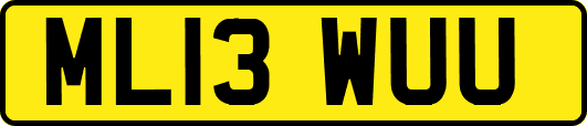 ML13WUU