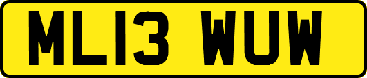 ML13WUW
