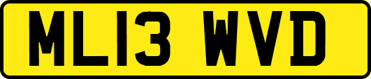 ML13WVD