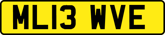ML13WVE