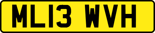 ML13WVH