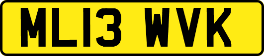 ML13WVK