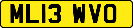 ML13WVO