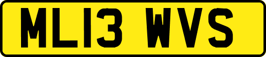 ML13WVS
