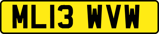 ML13WVW