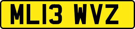 ML13WVZ