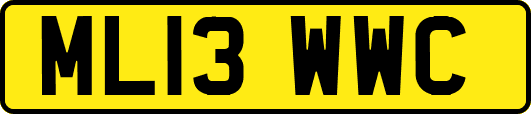 ML13WWC