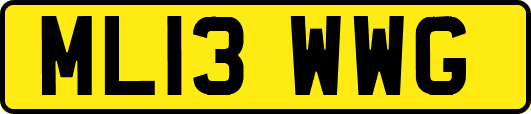 ML13WWG
