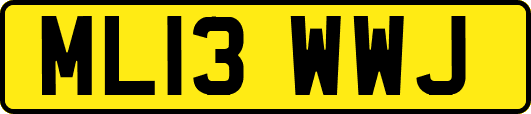 ML13WWJ