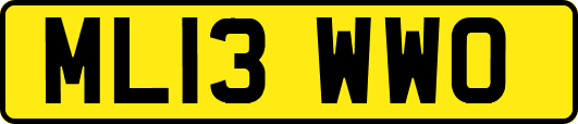 ML13WWO