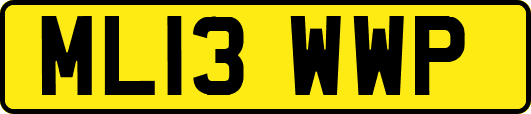 ML13WWP