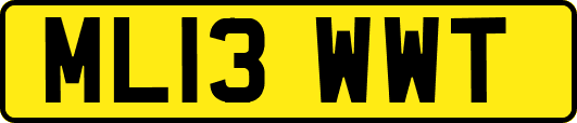 ML13WWT