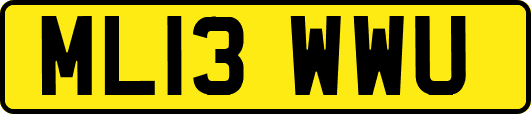ML13WWU