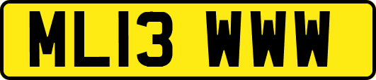 ML13WWW