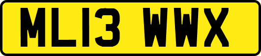 ML13WWX