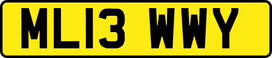 ML13WWY