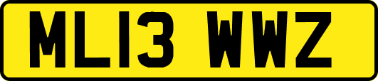 ML13WWZ