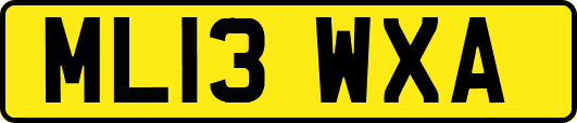 ML13WXA