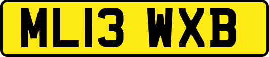 ML13WXB