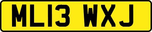 ML13WXJ