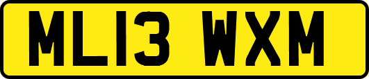 ML13WXM